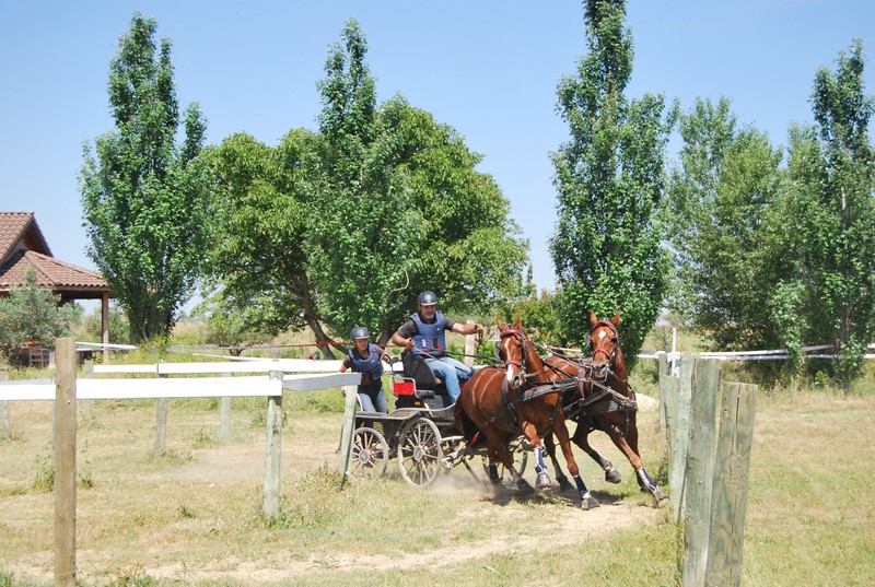 Mucho calor en La Pinturita en el Campeonato Navarro de Enganches Indoor